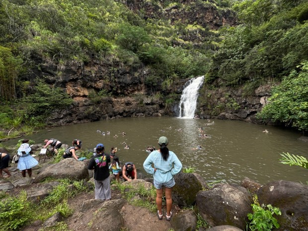 The sacred historical site of Waimea Valley on Oahu boasts lush a botanical garden and waterfall, where you can take a swim. (Ben Davidson Photography)