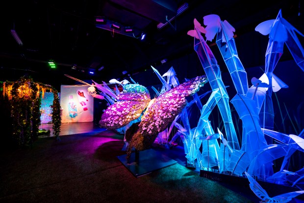 Earth Illuminated is a new immersive art experience on International Drive with insects and scenes built with recycled materials on Sept. 27, 2023. (Patrick Connolly/Orlando Sentinel)