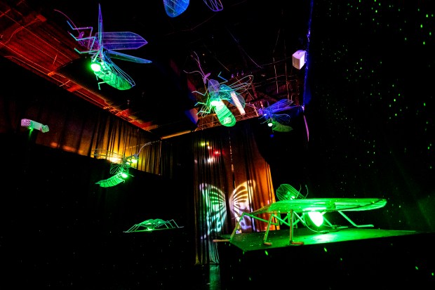 Earth Illuminated is a new immersive art experience on International Drive with insects and scenes built with recycled materials, including fireflies, on Sept. 27, 2023. (Patrick Connolly/Orlando Sentinel)