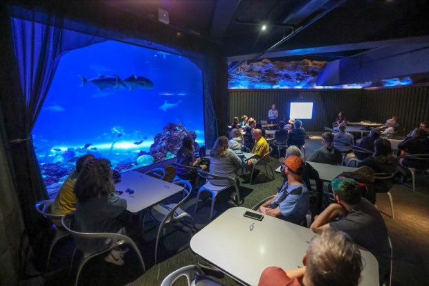 Adam Brame, Sawfish Recovery Coordinator for the National Oceanic and Atmospheric Association, speaks about the habitat and protection of smalltooth sawfish during an 'Expert talks' presentation at SeaWorld Orlando on Tuesday, October 17, 2023. (Rich Pope, Orlando Sentinel)